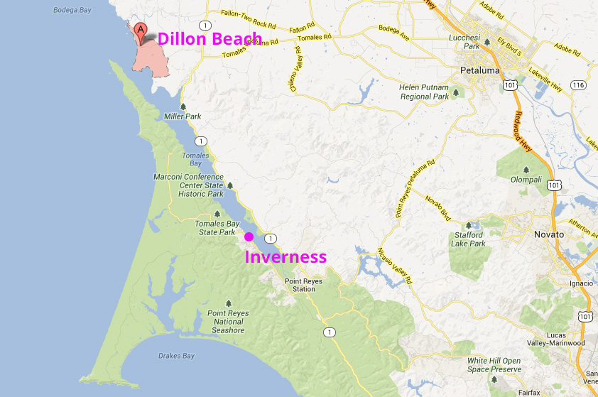 戻ってきました〜