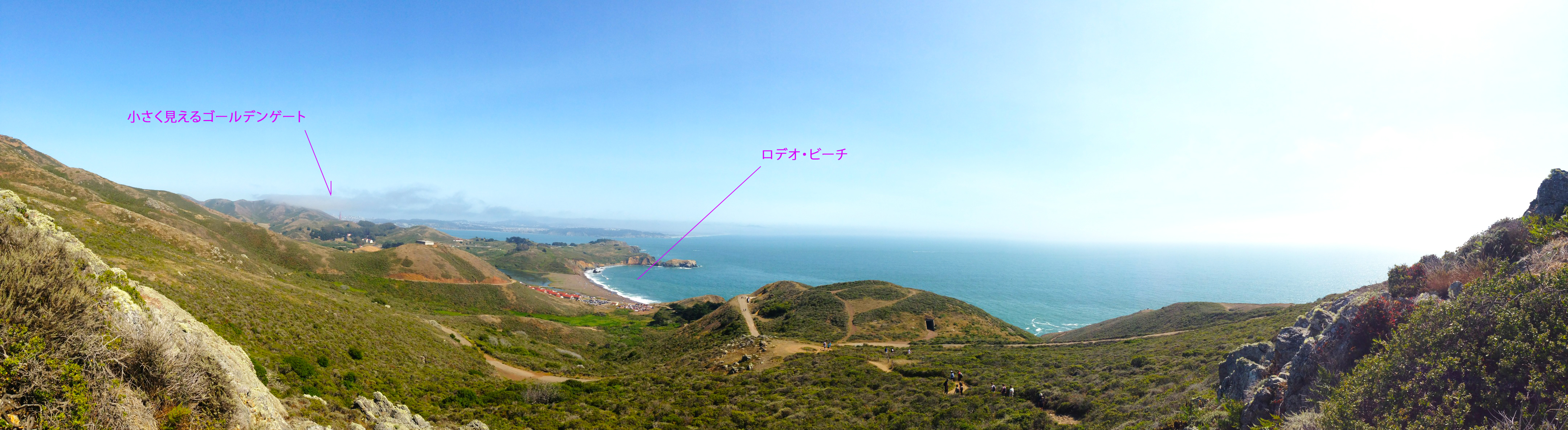 最高の夏日和が続いています