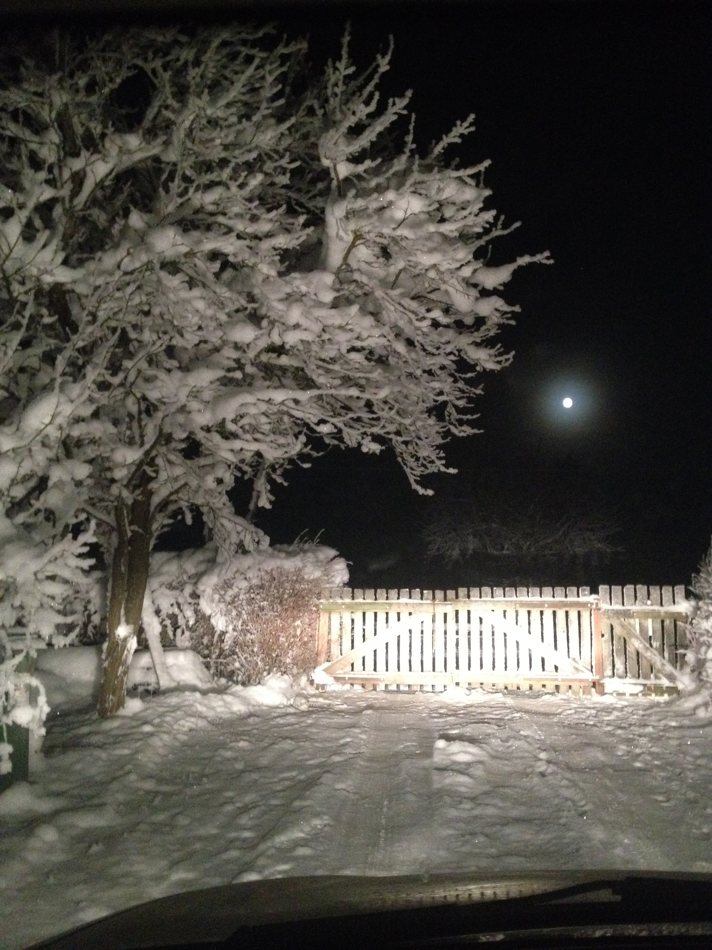 マイナス２７度の世界