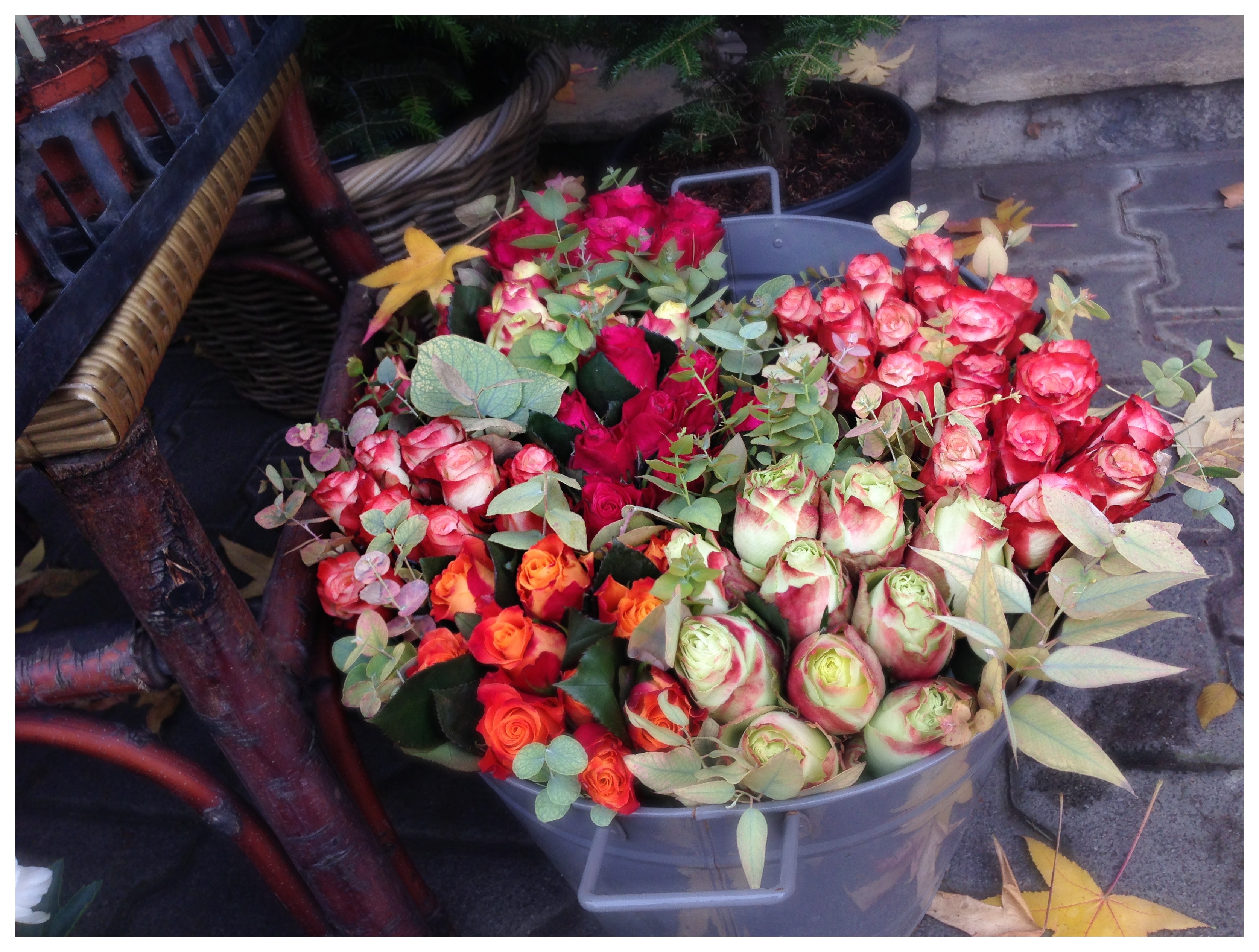 マンハイムのお気に入りの花屋さん
