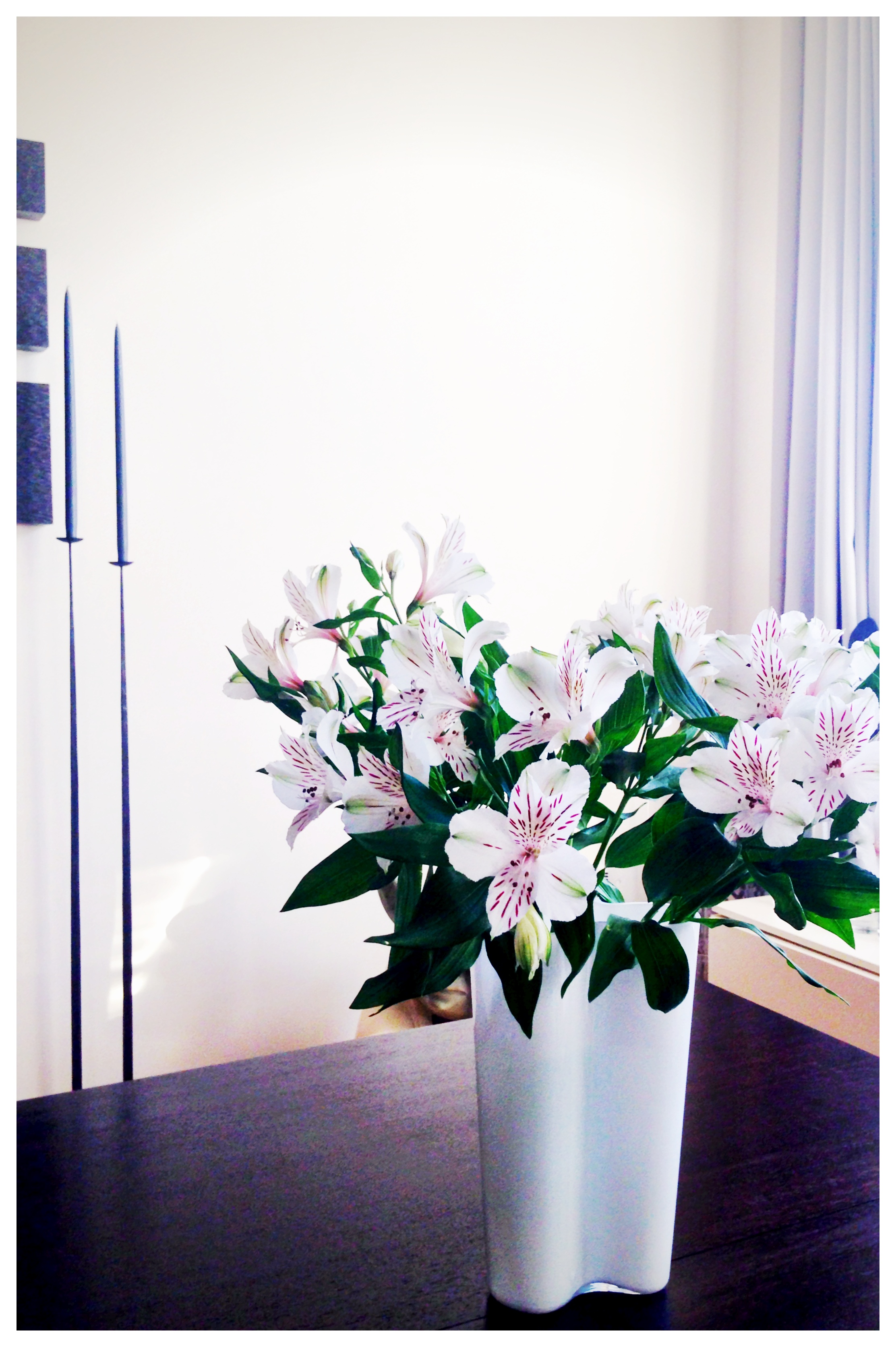 生命力の強い食材たち