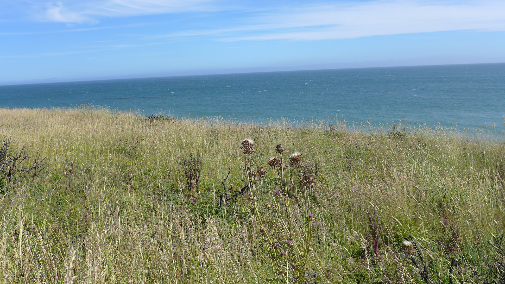 ハイキングのススメ