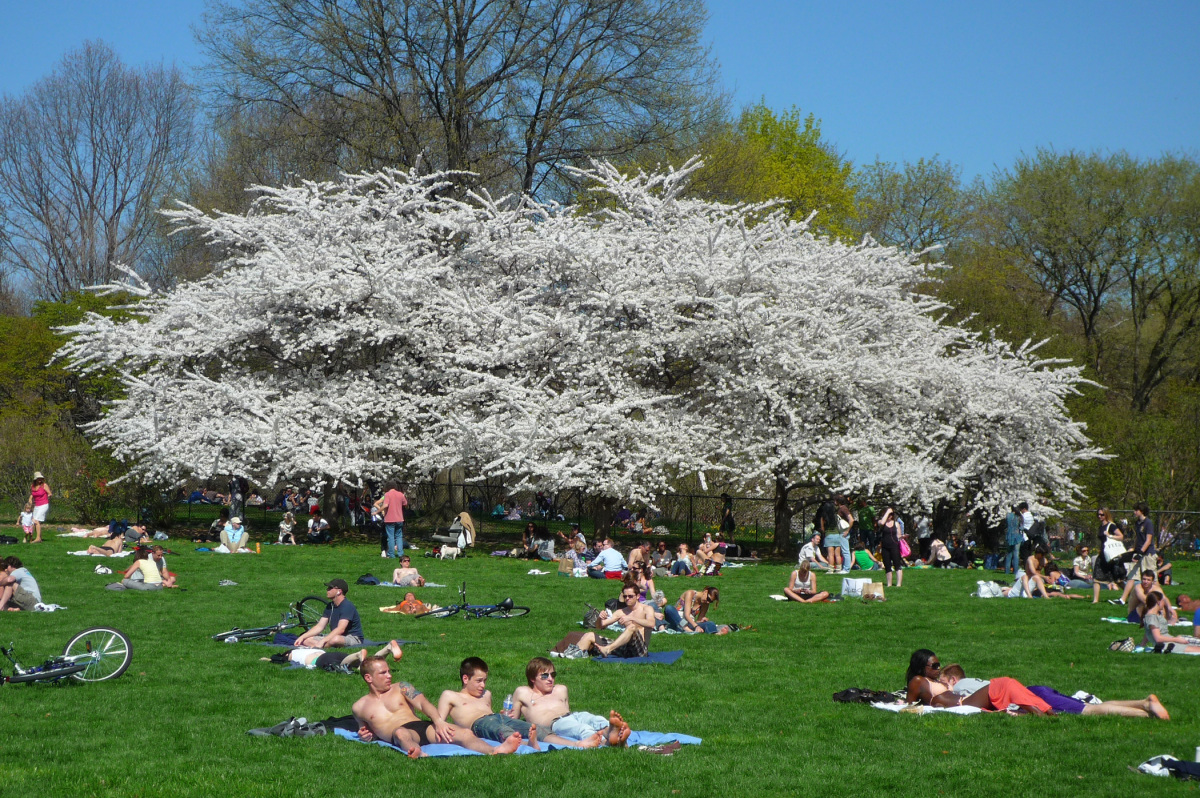 Perfect Easter Sunday