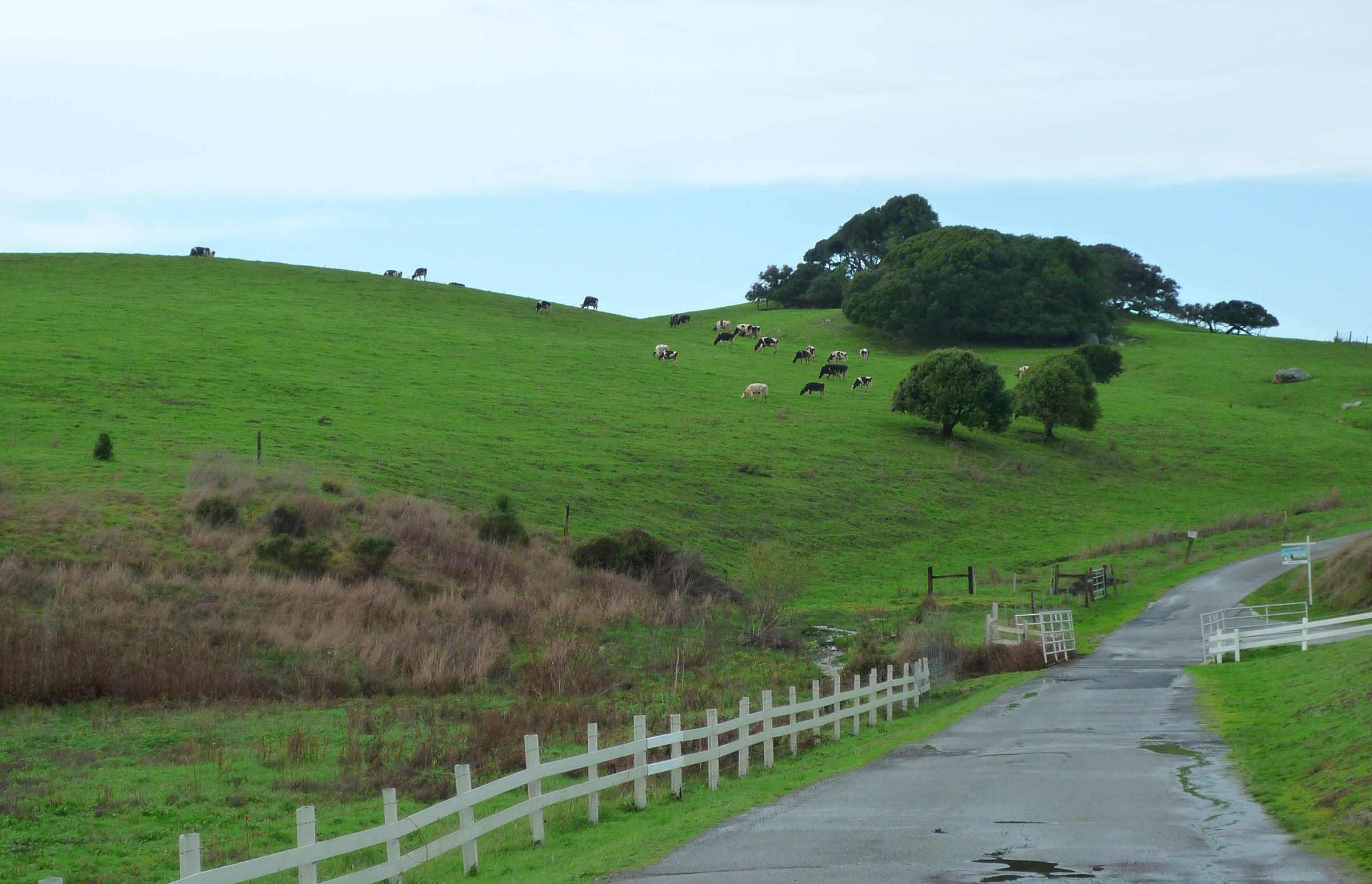 5th anniversary - Point Reyes