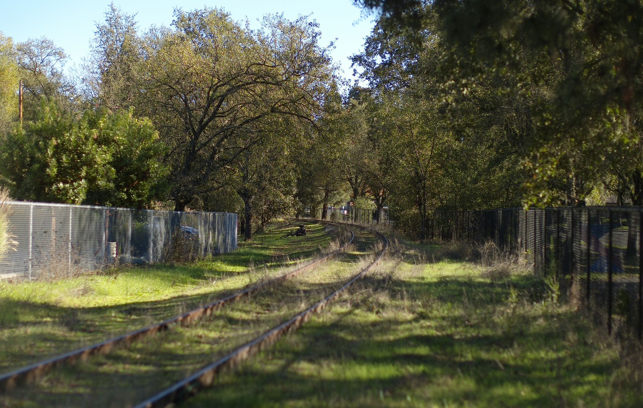 HEALDSBURGより紅葉をお届け