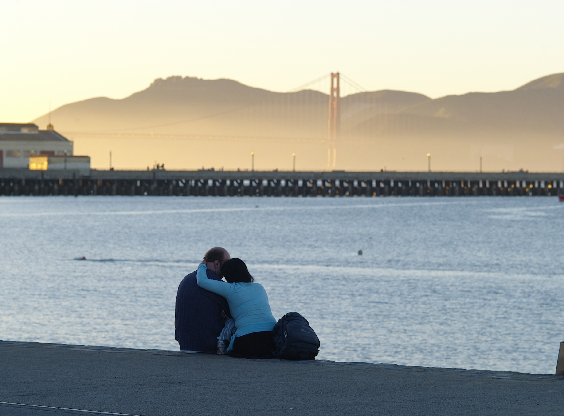 今日の散歩コース