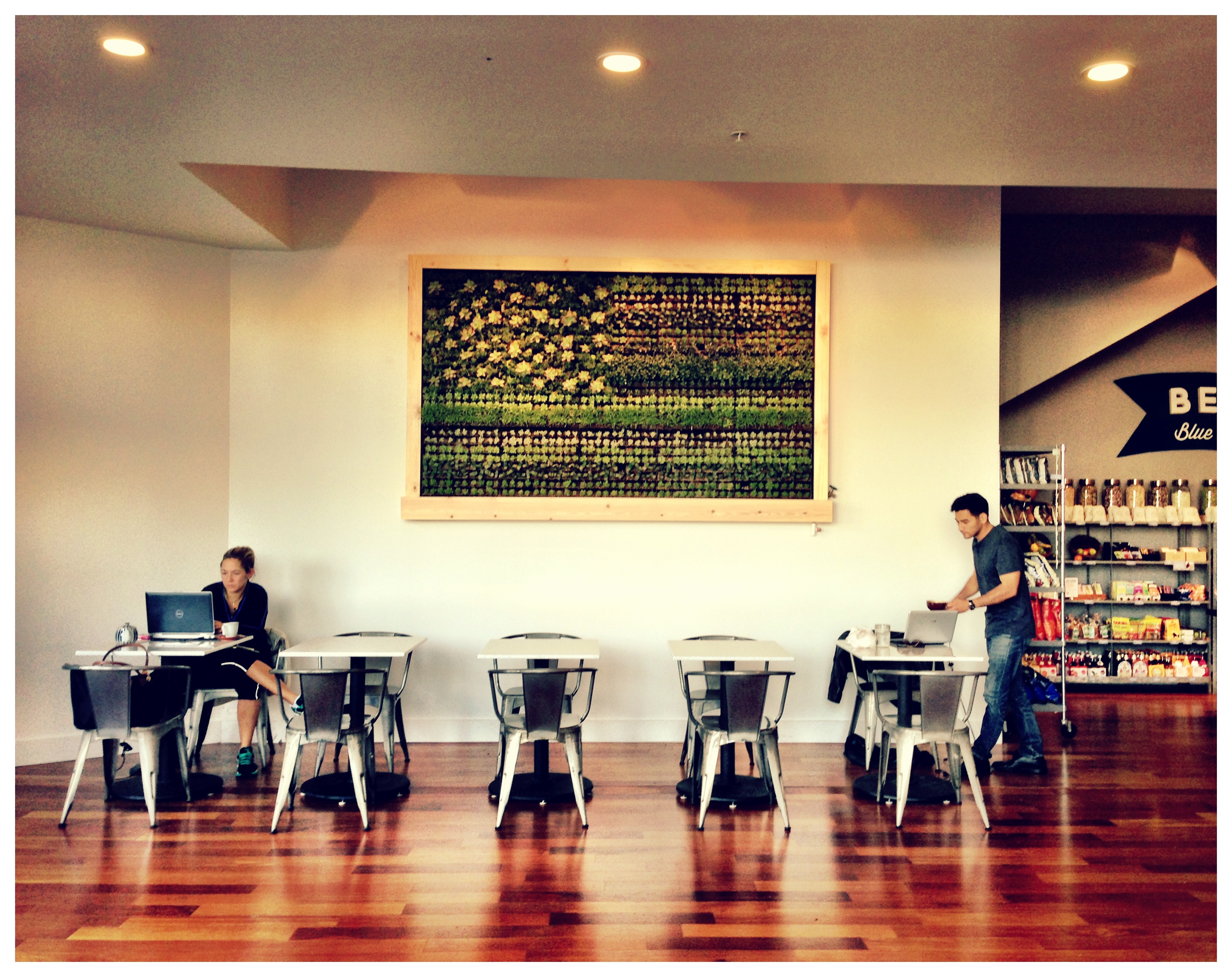 anti スター◎ックス