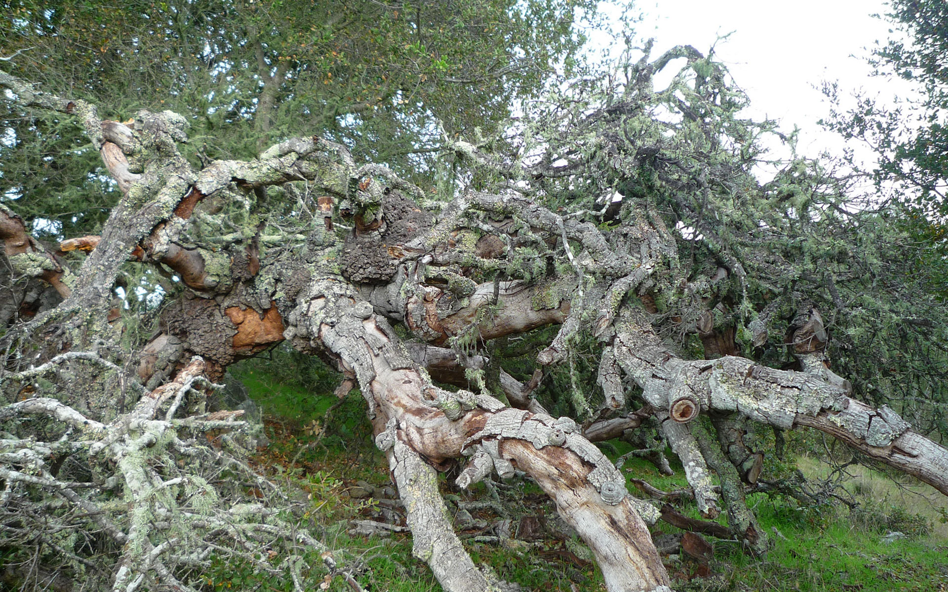 Create reality you want